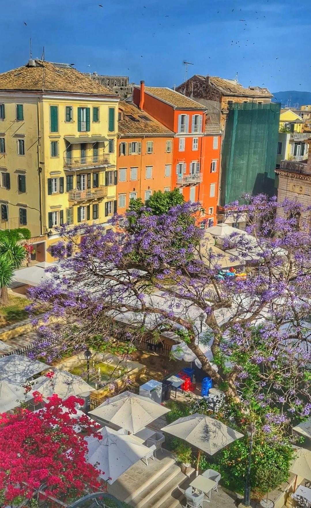 Old Town Hall Appartement Corfu (city)